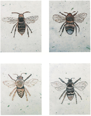 Bees Please