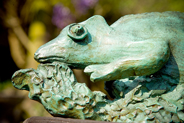 Chameleon
