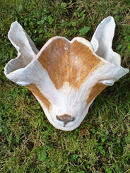Goat's Head vase