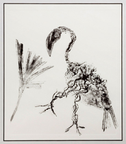 Stork with stalk
