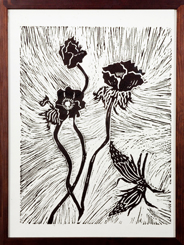 Anemones