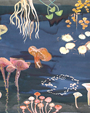 Fungi
