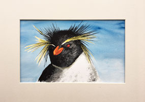 Rockhopper